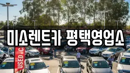 경기도 평택시 렌트카 전문 미소렌트카 평택영업소