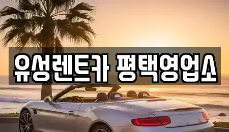 경기도 평택시 렌트카 전문 유성렌트카 평택영업소