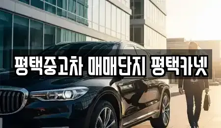 경기도 평택시 중고차 전문 평택중고차 매매단지 평택카넷