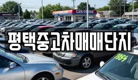 경기도 평택시 중고차 전문 평택중고차매매단지