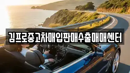 경기도 평택시 중고차매입 전문 김프로중고차매입판매수출매매센터
