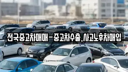 경남 김해시 응달동 중고차매매 전문 전국중고차매매-중고차수출,사고노후차매입