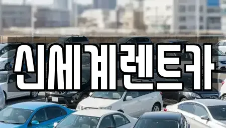 경남 산청군 렌트카 전문 신세계렌트카
