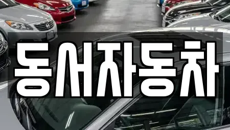 경남 창원시 마산합포구 교방동 중고차 전문 동서자동차