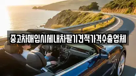 경남 창원시 마산합포구 교방동 중고차매입 전문 중고차매입시세내차팔기견적가격수출업체