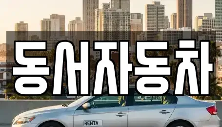 경남 창원시 진해구 남양동 중고차 전문 동서자동차