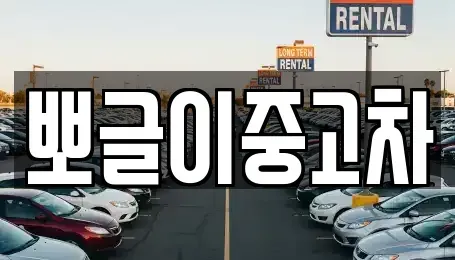 경북 봉화군 석포면 중고차매매 전문 뽀글이중고차