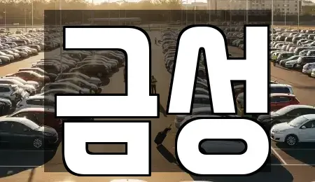 경북 영주시 가흥동 렌트카 전문 금성