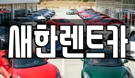경북 영천시 금노동 렌트카 전문 새한렌트카