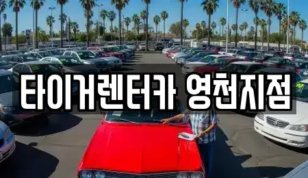 경북 영천시 금노동 렌트카 전문 타이거렌터카 영천지점