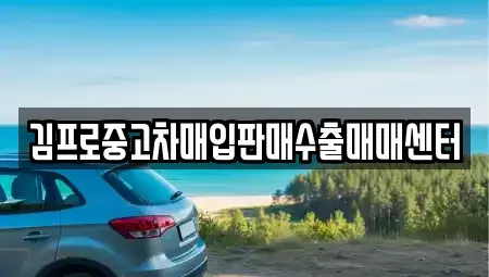 경북 영천시 금노동 중고차매입 전문 김프로중고차매입판매수출매매센터
