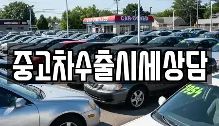 경북 영천시 도림동 중고차 전문 중고차수출시세상담