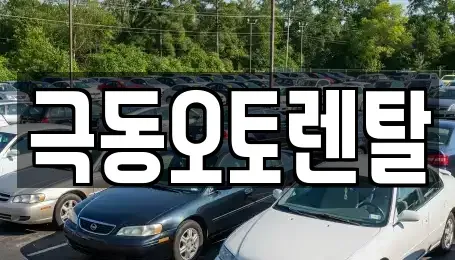 경북 포항시 북구 상원동 렌트카 전문 극동오토렌탈