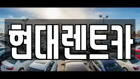 경북 포항시 북구 상원동 렌트카 전문 현대렌트카