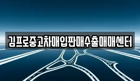 경북 포항시 북구 상원동 중고차매매 전문 김프로중고차매입판매수출매매센터