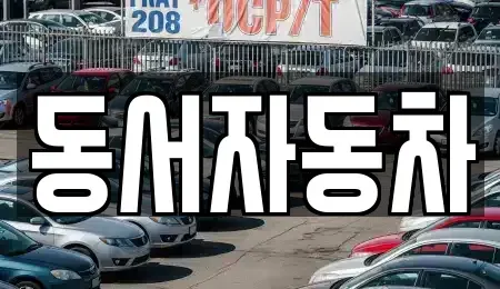 경북 포항시 북구 상원동 중고차매매 전문 동서자동차