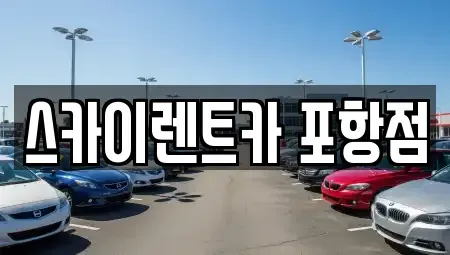 경북 포항시 북구 학잠동 렌트카 전문 스카이렌트카 포항점