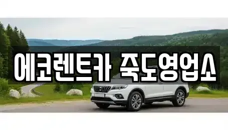 경북 포항시 북구 학잠동 렌트카 전문 에코렌트카 죽도영업소