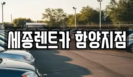 경상남도 거창군 렌트카 전문 세종렌트카 함양지점