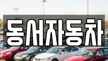 경상남도 창원시 진해구 대흥동 중고차 전문 동서자동차