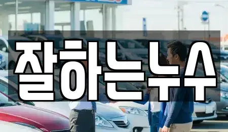 경상남도 창원시 진해구 대흥동 중고차 전문 잘하는누수