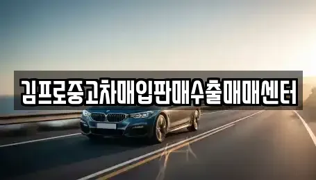 경상북도 안동시 정하동 중고차매입 전문 김프로중고차매입판매수출매매센터