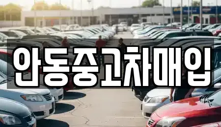 경상북도 안동시 화성동 중고차매입 전문 안동중고차매입