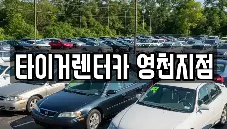 경상북도 영천시 문내동 렌트카,단기렌트카,장기렌트카,중고차,중고차매매,중고차매입