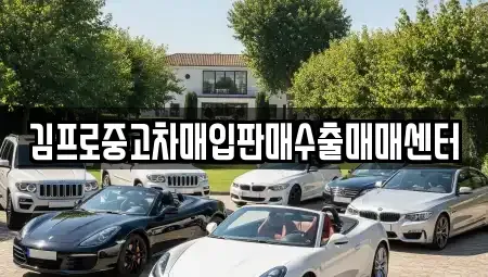 경상북도 영천시 문내동 중고차매입 전문 김프로중고차매입판매수출매매센터