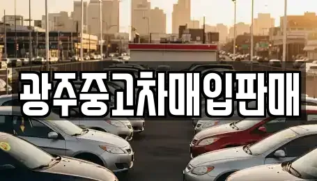광주 광산구 도호동 단기렌트카,중고차매입,중고차매매,중고차,렌트카,장기렌트카