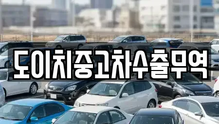 광주 광산구 신룡동 중고차매매 전문 도이치중고차수출무역