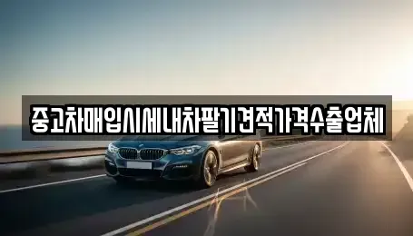 대구 달서구 장동 중고차매입 전문 중고차매입시세내차팔기견적가격수출업체