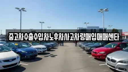 대구 달서구 장동 중고차매입 전문 중고차수출수입차노후차사고차량매입매매센타