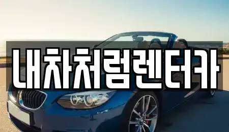 대구 달성군 논공읍 렌트카 전문 내차처럼렌터카