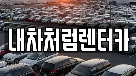 대구 수성구 성동 렌트카 전문 내차처럼렌터카