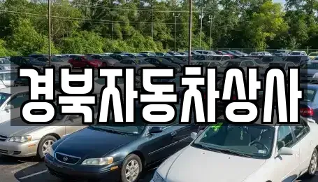 대구 수성구 성동 중고차 전문 경북자동차상사