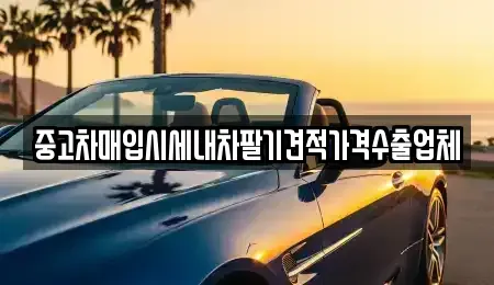 대구 수성구 성동 중고차매입 전문 중고차매입시세내차팔기견적가격수출업체