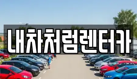 대구 수성구 신매동 렌트카 전문 내차처럼렌터카