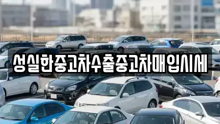 대구 수성구 신매동 중고차매입 전문 성실한중고차수출중고차매입시세
