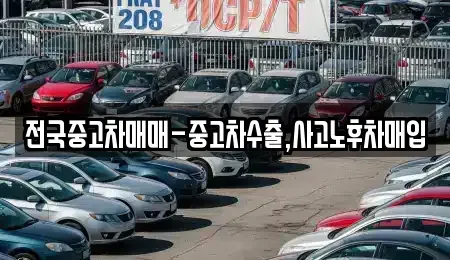 대구 수성구 신매동 단기렌트카,중고차매입,중고차매매,중고차,렌트카,장기렌트카