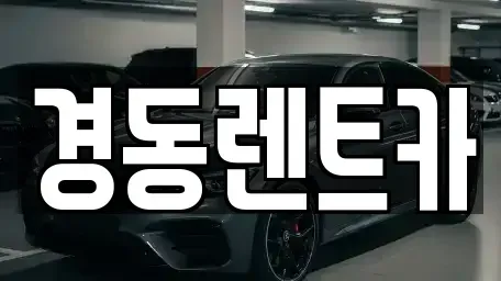 대구광역시 중구 사일동 렌트카 전문 경동렌트카