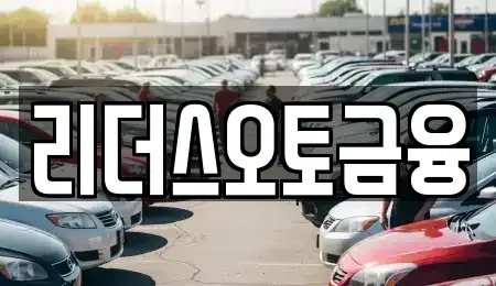 대구광역시 중구 사일동 장기렌트카 전문 리더스오토금융