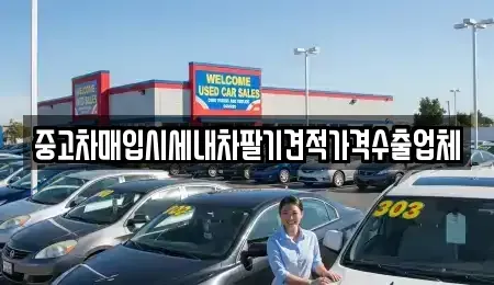 대구광역시 중구 사일동 중고차매입 전문 중고차매입시세내차팔기견적가격수출업체