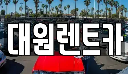 대전광역시 서구 내동 단기렌트카 전문 대원렌트카