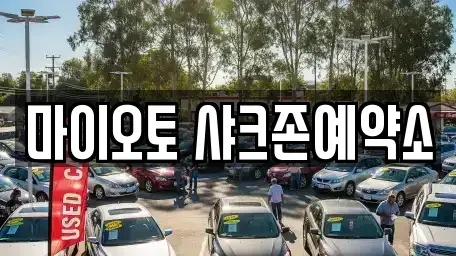 대전광역시 서구 내동 단기렌트카 전문 마이오토 샤크존예약소