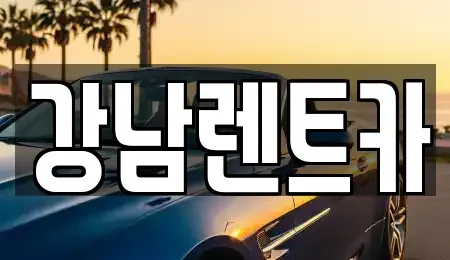 대전광역시 서구 내동 렌트카 전문 강남렌트카