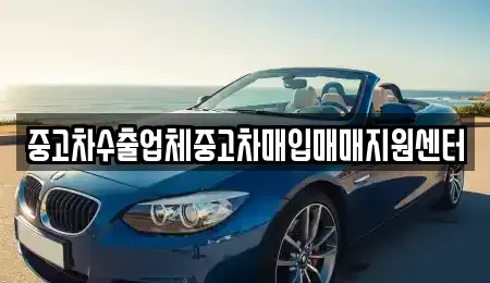 대전광역시 서구 내동 중고차매입 전문 중고차수출업체중고차매입매매지원센터