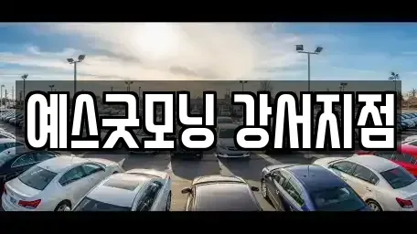 부산 강서구 신호동 렌트카 전문 예스굿모닝 강서지점