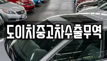 부산 강서구 신호동 중고차 전문 도이치중고차수출무역