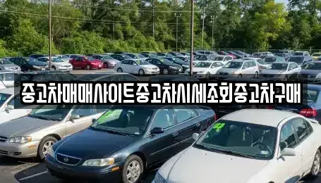 부산 강서구 신호동 중고차,렌트카,중고차매입,중고차매매,장기렌트카,단기렌트카